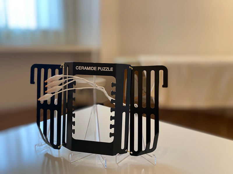 セラミドパズル